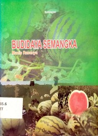 Budidaya Semangka Manis Rasanya