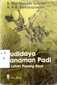Budidaya Tanaman Padi Lahan Pasang Surut